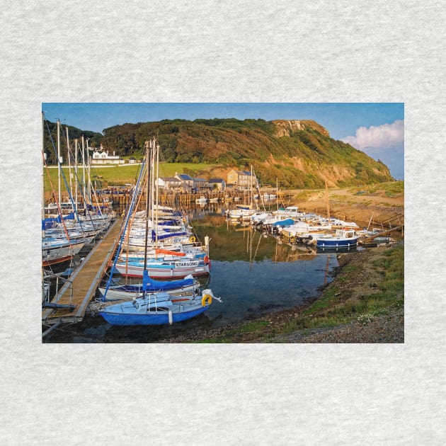 Axmouth Harbour & Haven Cliff by galpinimages